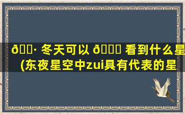 🌷 冬天可以 🐈 看到什么星座(东夜星空中zui
具有代表的星座)